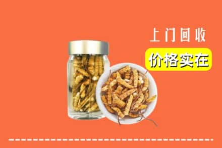 诚信求购:乐安县高价回收散虫草