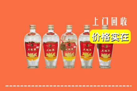诚信求购:乐安县高价回收老五粮液